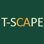 tcs